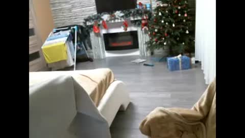 Snapshot of ellimol chatting on February 7, 6:56 pm EliMoL online show from February 7, 6:56 pm