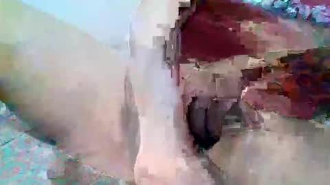 elmario24 online show from December 1, 6:29 am