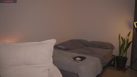 ana online show from November 24, 10:53 pm