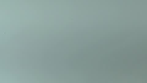 emi_rousse online show from May 19, 11:49 am