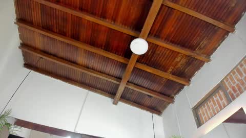 Emily  online show from November 5, 11:21 am