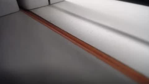 emily hoot1 online show from February 24, 10:37 am