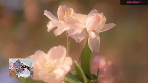 emily hoot1 online show from November 20, 9:42 am