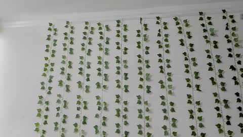 emily online show from February 5, 4:00 pm