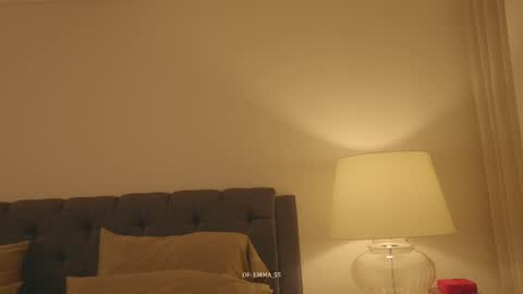 Snapshot of emma_lu1 chatting on January 31, 11:14 pm emma_lu1 online show from January 31, 11:14 pm