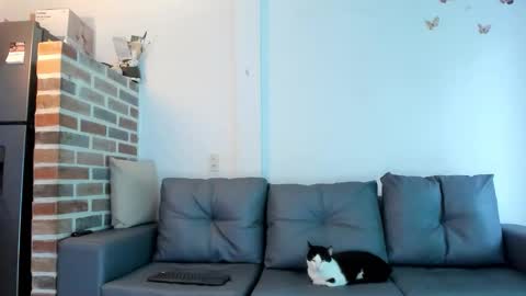 Emma Brant online show from February 18, 12:34 pm