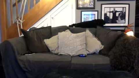 Snapshot of englishcouple81 chatting on March 13, 11:33 pm englishcouple81 online show from March 13, 11:33 pm