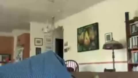 Snapshot of erostalk chatting on August 3, 9:29 pm eros online show from August 3, 9:29 pm