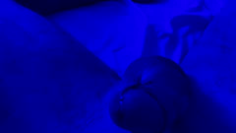 Snapshot of espltd0666 chatting on April 13, 6:52 am Chpala online show from April 13, 6:52 am