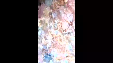 Snapshot of esteralcantara chatting on February 9, 5:50 pm esteralcantara online show from February 9, 5:50 pm