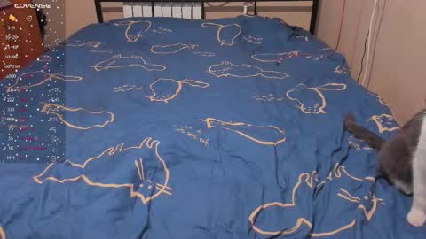 Eva online show from January 13, 3:06 pm