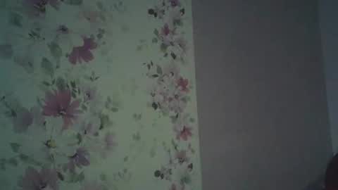 Snapshot of eveliina_shy chatting on February 13, 5:36 am Evelina online show from February 13, 5:36 am