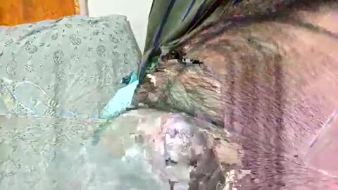 Snapshot of ezzz_au20 chatting on November 2, 5:32 am ezzz_au20 online show from November 2, 5:32 am