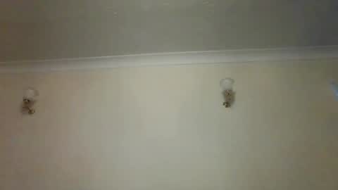 the masturbator online show from February 3, 4:31 pm