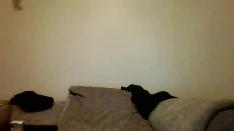 the masturbator online show from March 7, 4:46 am