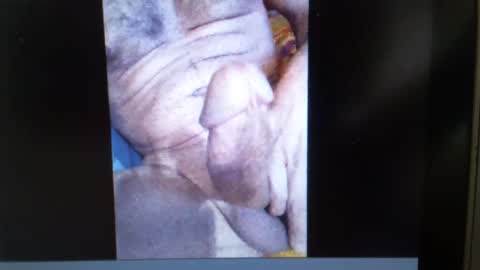 Snapshot of falushp chatting on January 23, 9:50 am falushp online show from January 23, 9:50 am