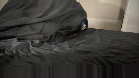 Snapshot of fangofox chatting on January 12, 2:39 am Fango online show from January 12, 2:39 am