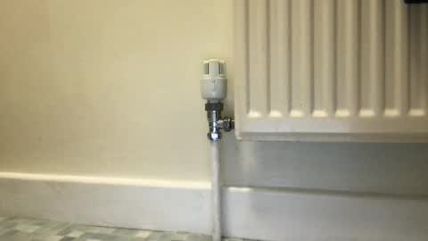 Alex online show from December 3, 9:55 am