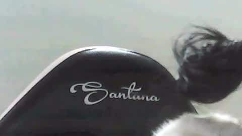 Snapshot of farianna_hot chatting on May 2, 10:26 pm farianna_hot online show from May 2, 10:26 pm