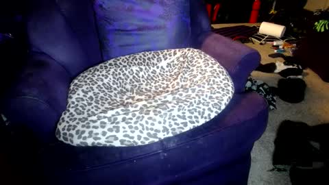 Farrah online show from October 8, 5:16 am