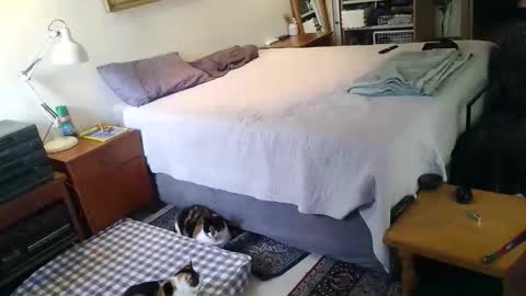 KingT online show from April 19, 10:03 am