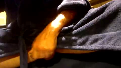 Snapshot of fastoys2016 chatting on June 1, 4:41 pm fastoys aka ...what ever.. online show from June 1, 4:41 pm