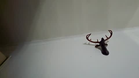 Snapshot of felipesmg2 chatting on June 27, 4:12 pm felipesmg2 online show from June 27, 4:12 pm