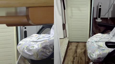 felixlau online show from January 26, 12:11 pm