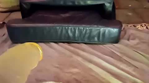 femboy710cum online show from December 21, 11:24 pm