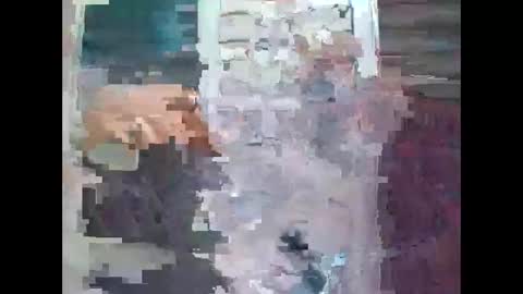 feog197475512 online show from November 8, 9:13 pm