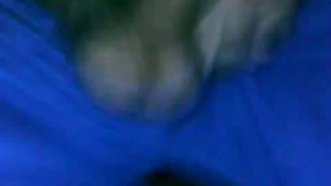 fer_2197 online show from January 23, 1:24 pm