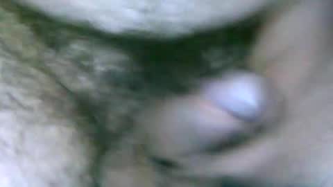 fer_2197 online show from February 13, 1:48 pm