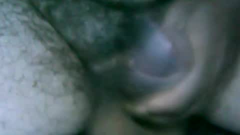 fer_2197 online show from October 6, 1:19 pm