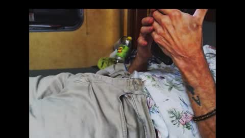 Snapshot of ferra_testarossa chatting on October 9, 5:05 am ferra_testarossa online show from October 9, 5:05 am