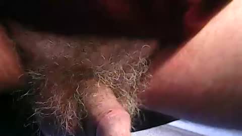 fh1963 online show from February 20, 12:16 pm