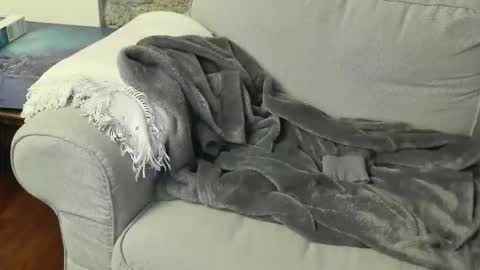 Fid online show from January 6, 8:45 pm