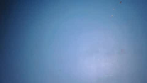 fine_ass24 online show from May 29, 5:27 am
