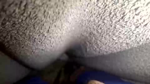 Snapshot of flaash_99 chatting on March 2, 11:28 am flaash_99 online show from March 2, 11:28 am