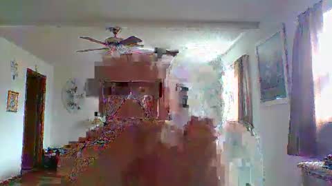 flamale65to online show from May 9, 8:36 pm