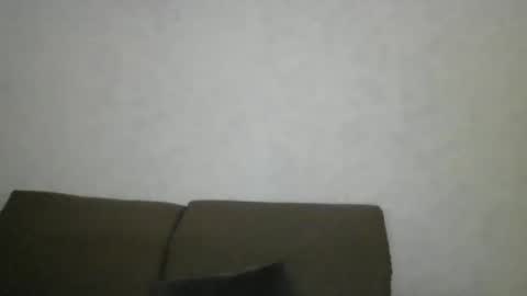 Snapshot of flamingo797424 chatting on January 25, 2:15 am flamingo797424 online show from January 25, 2:15 am