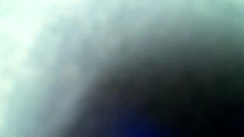 flash online show from February 3, 2:53 am