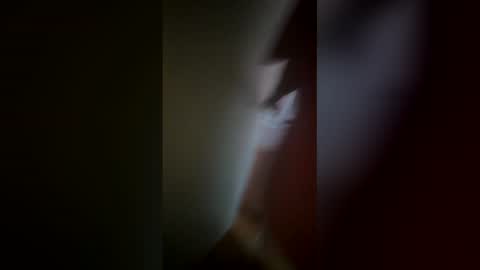 Snapshot of flirtygirlyy chatting on February 12, 8:04 pm Ive Retired From Camming online show from February 12, 8:04 pm