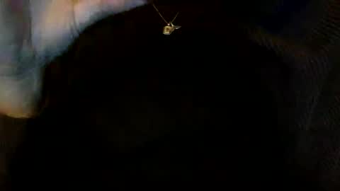 Snapshot of floraexploration chatting on December 23, 6:27 pm floraexploration online show from December 23, 6:27 pm