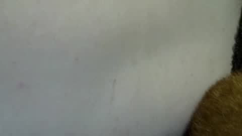 Snapshot of flufferbutt2 chatting on April 4, 10:24 am flufferbutt2 online show from April 4, 10:24 am