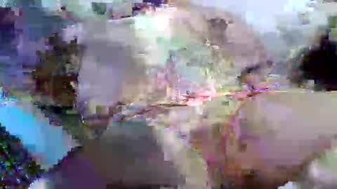 Snapshot of flufferbutt2 chatting on April 14, 5:13 am flufferbutt2 online show from April 14, 5:13 am