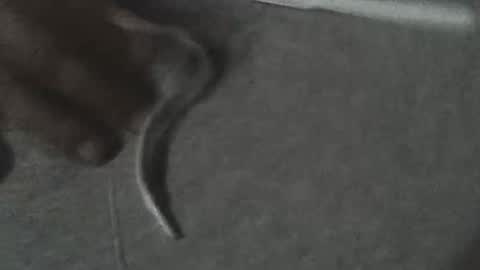 Snapshot of fonixxx69 chatting on March 22, 3:21 am fonixxx69 online show from March 22, 3:21 am