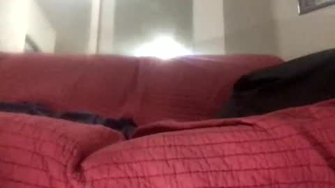 Biglongdong99 online show from November 24, 1:11 pm