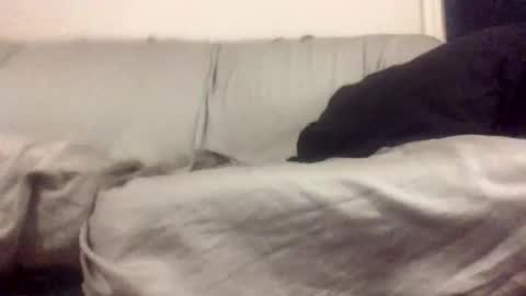 Biglongdong99 online show from April 13, 12:49 am