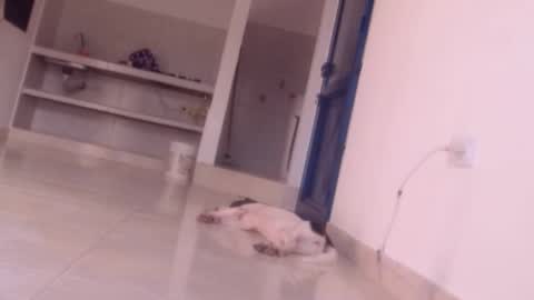 emely and felix online show from December 27, 10:05 pm