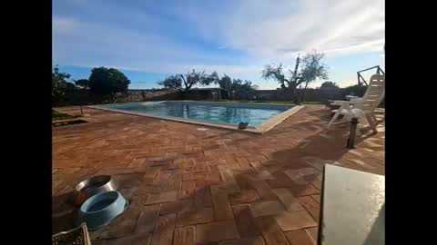 fra  71 online show from March 27, 4:29 pm